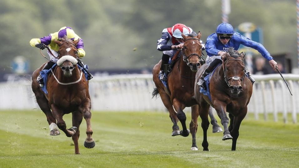 Harry Angel is a short-priced favourite to retain his crown in the Sprint Cup at Haydock on Saturday